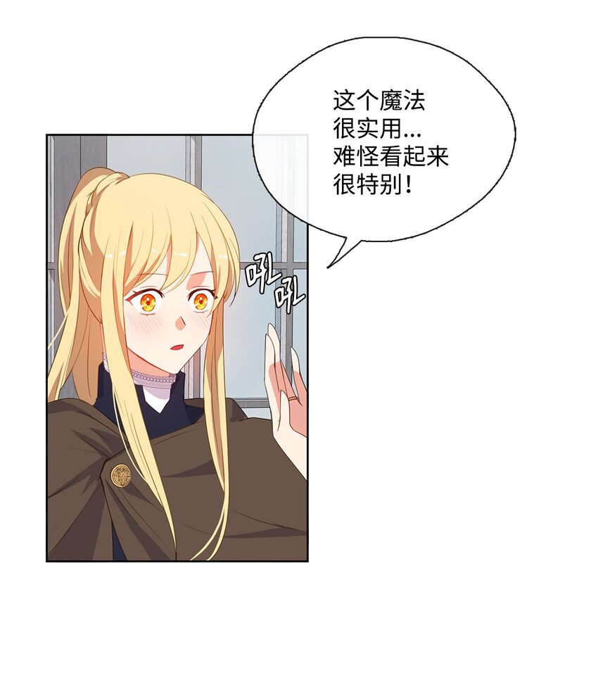 《皇帝的伴侣》30 非同寻常的红宝石 第39页