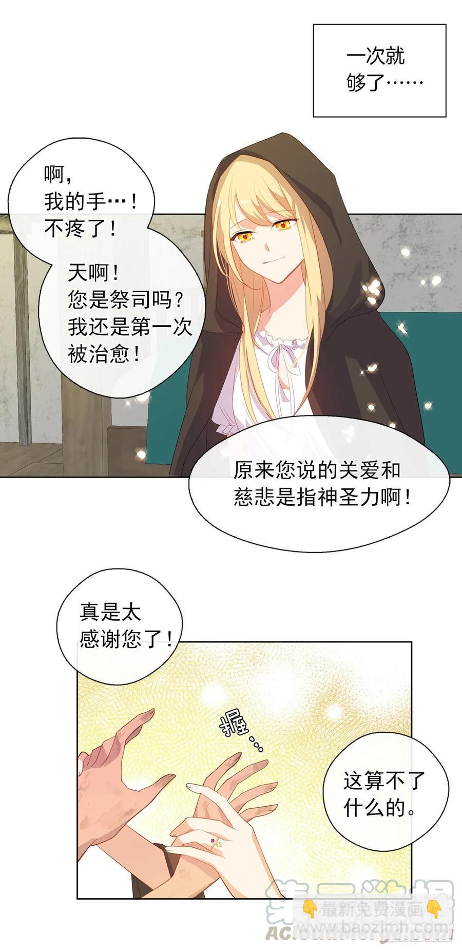 《皇帝的伴侣》35.我要履行我的使命 第21页