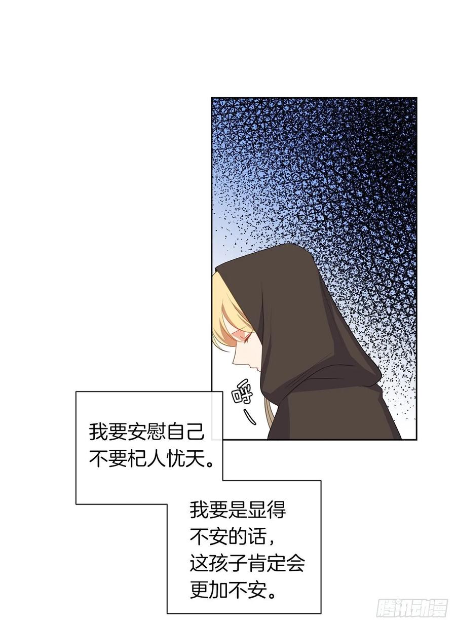 《皇帝的伴侣》35.我要履行我的使命 第2页