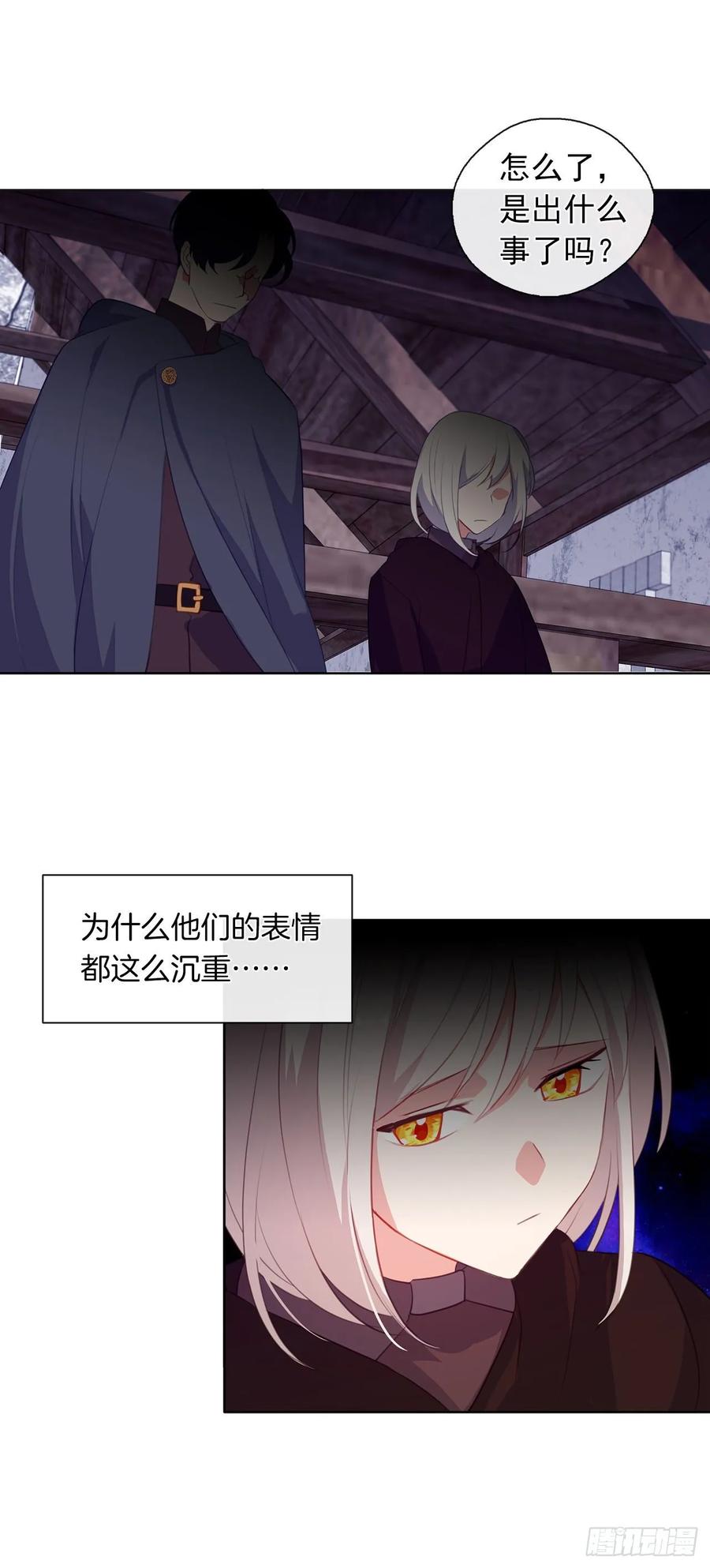 《皇帝的伴侣》35.我要履行我的使命 第47页
