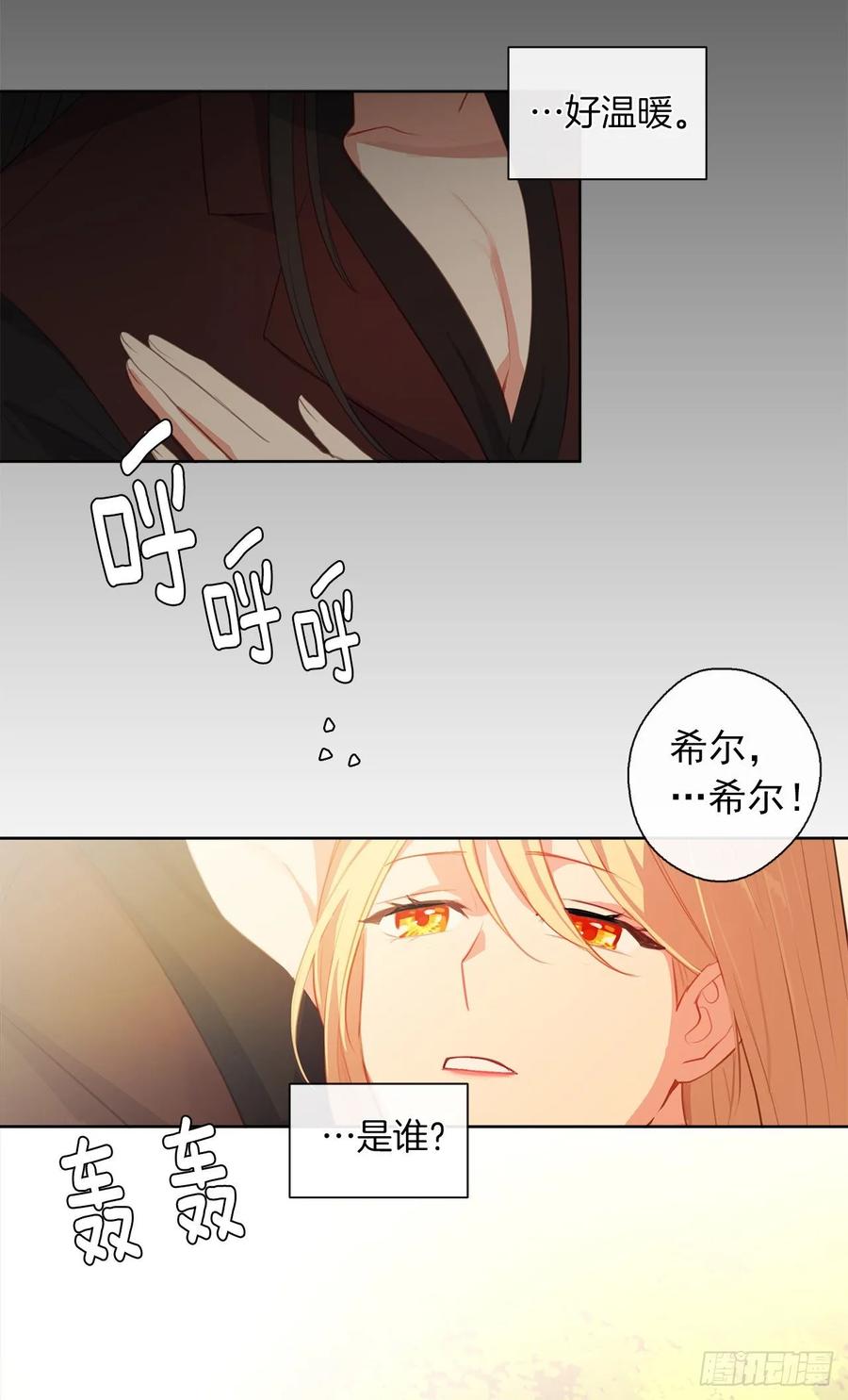 《皇帝的伴侣》38.怎么能拿圣下当诱饵？ 第11页