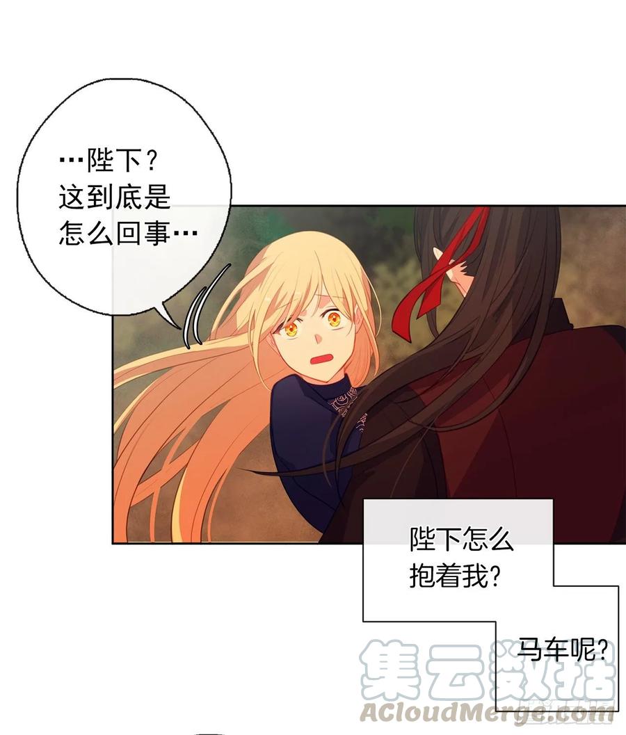 《皇帝的伴侣》38.怎么能拿圣下当诱饵？ 第13页