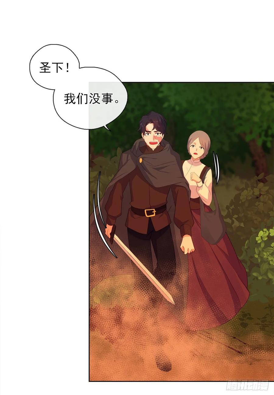 《皇帝的伴侣》38.怎么能拿圣下当诱饵？ 第24页