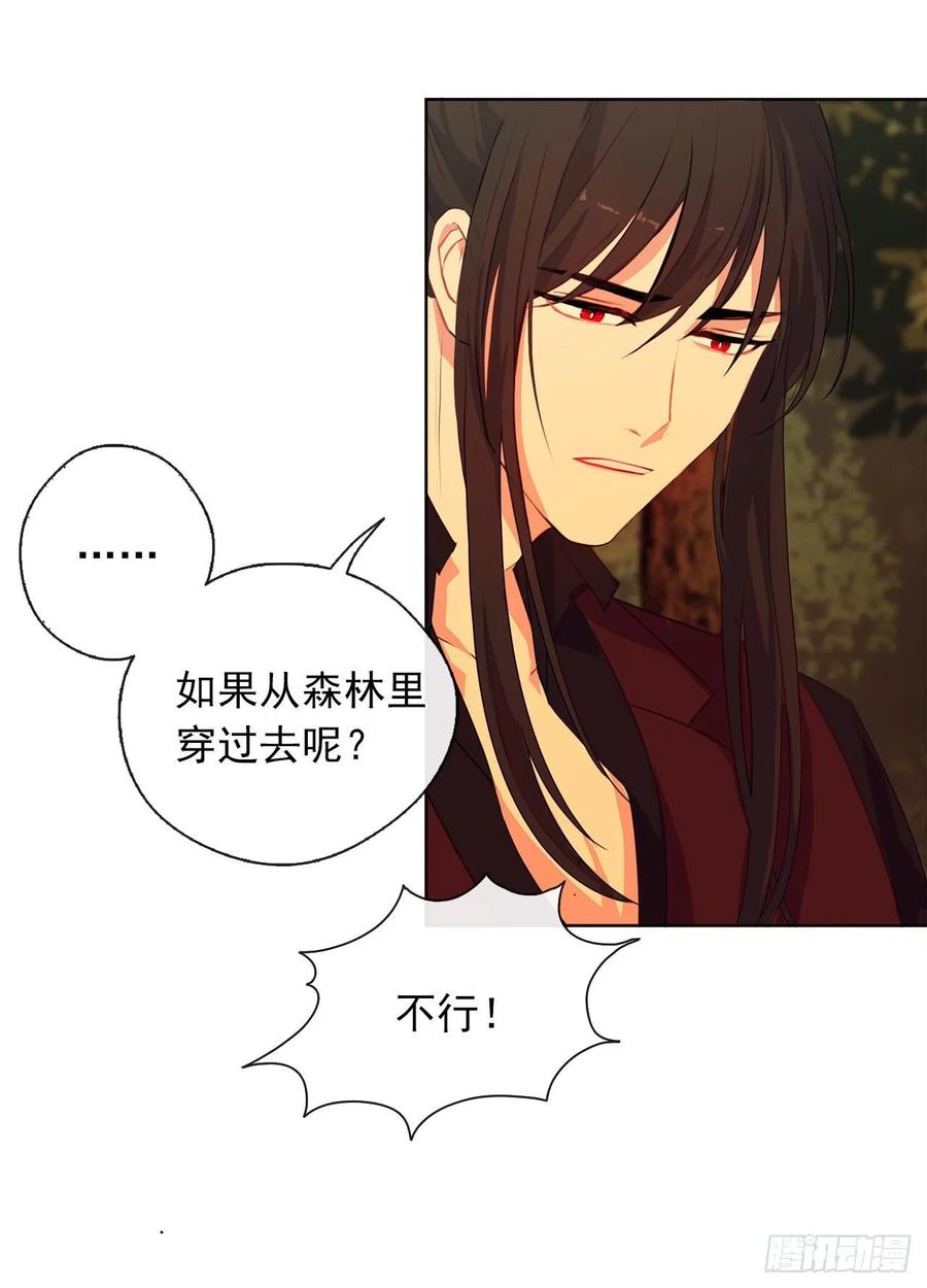 《皇帝的伴侣》38.怎么能拿圣下当诱饵？ 第35页