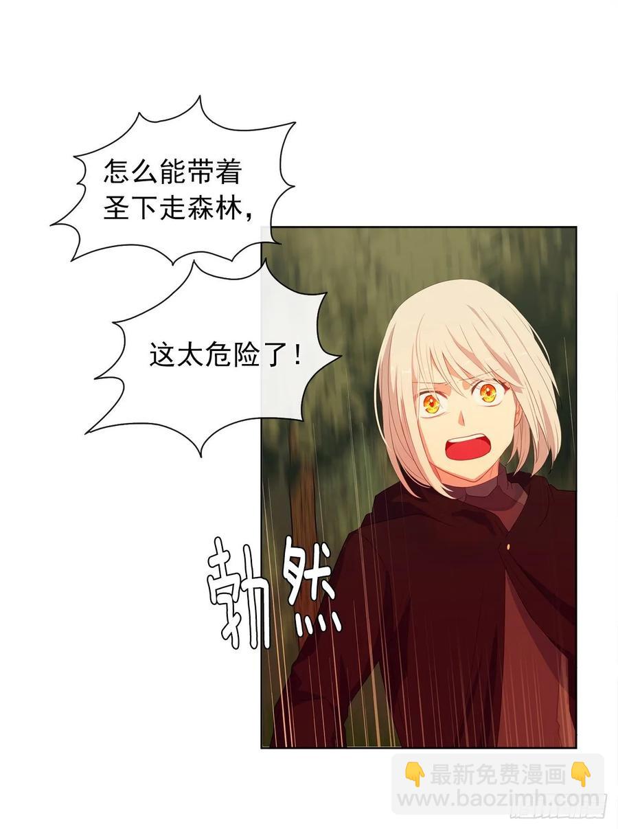 《皇帝的伴侣》38.怎么能拿圣下当诱饵？ 第36页