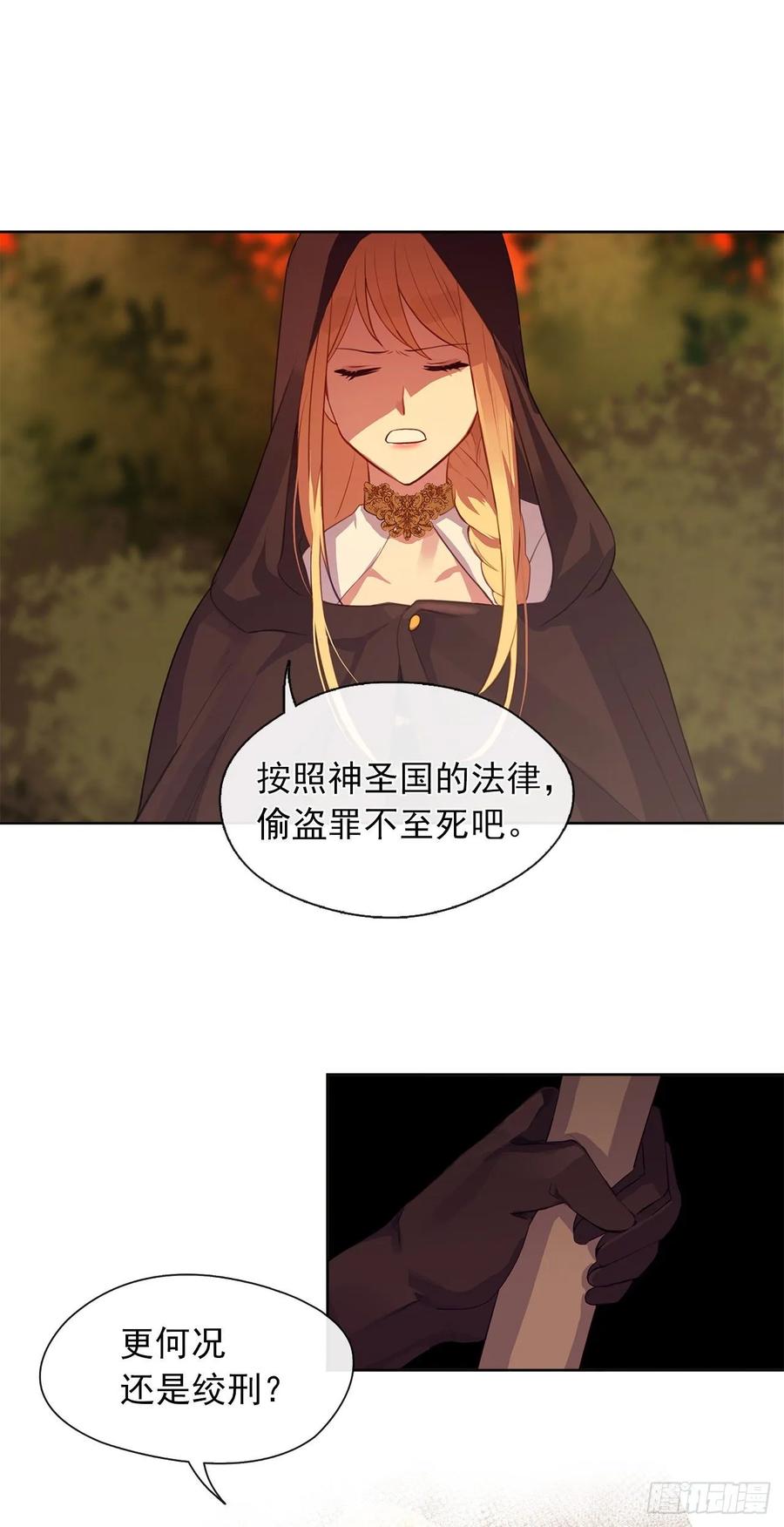 《皇帝的伴侣》41.让人生畏的责任 第25页