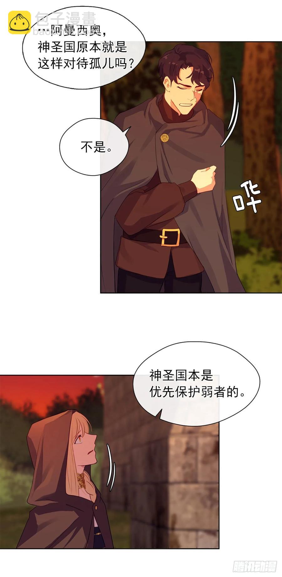 《皇帝的伴侣》41.让人生畏的责任 第27页