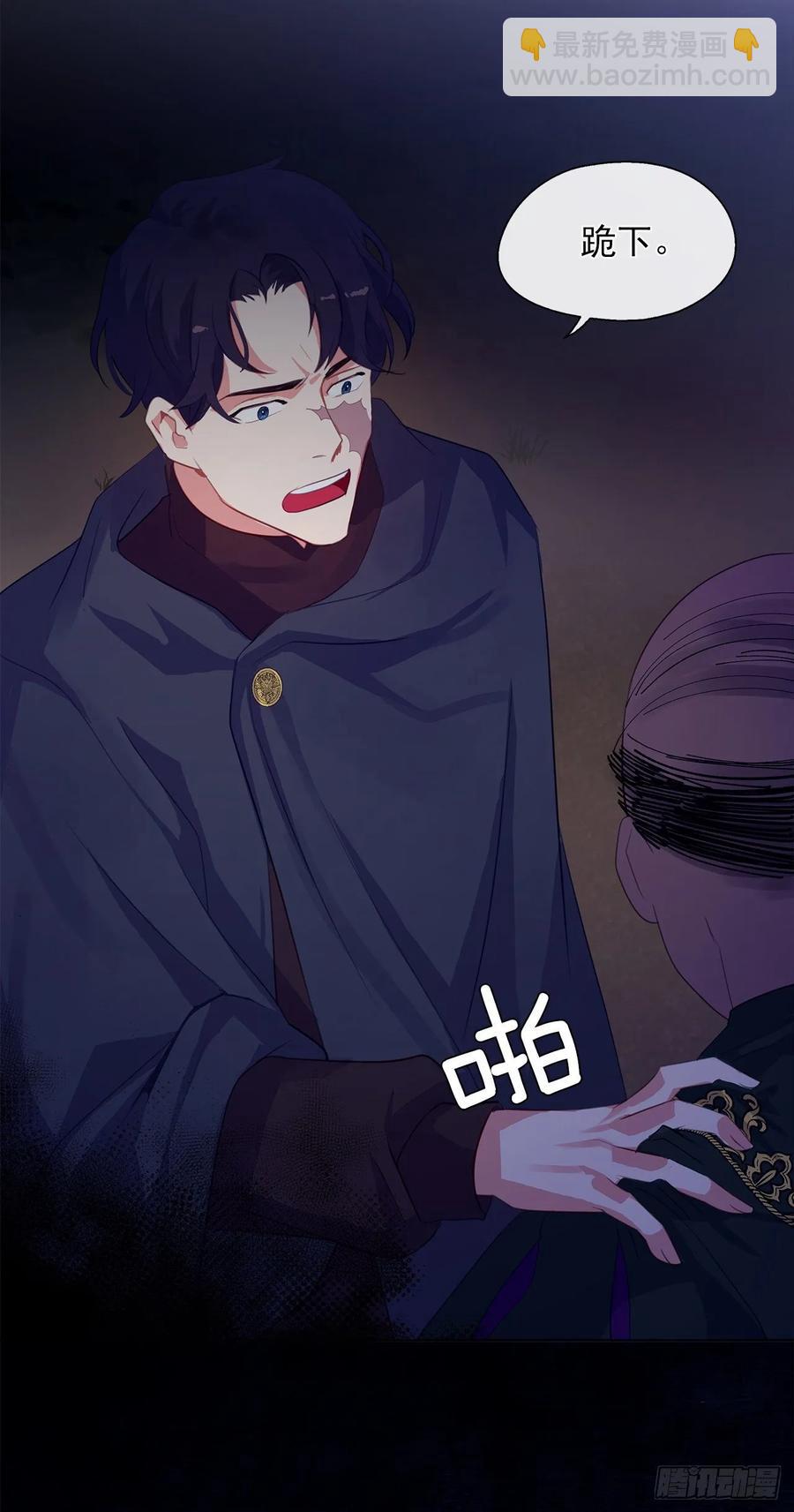 《皇帝的伴侣》42.这一切都是我造成的 第46页