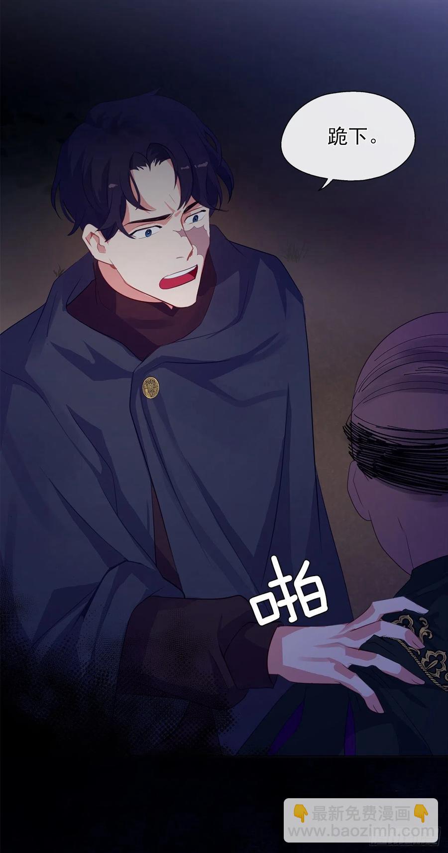 《皇帝的伴侣》43.罪大恶极之人 第26页