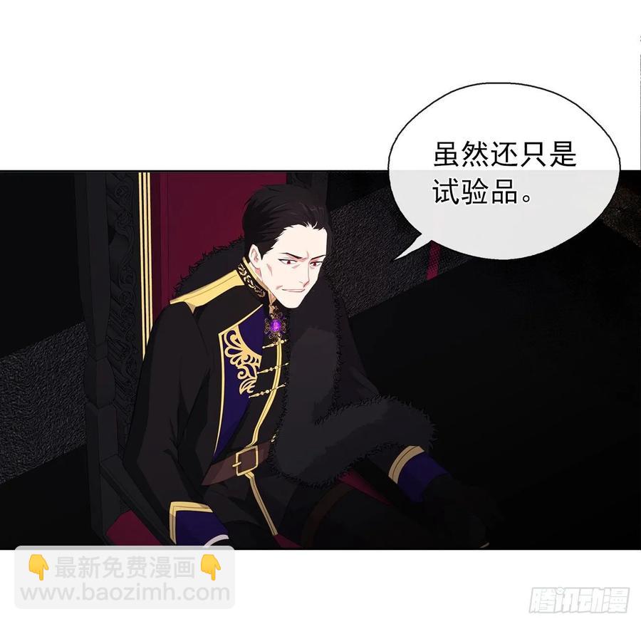 《皇帝的伴侣》40.杀掉她不如让她沉睡 第36页