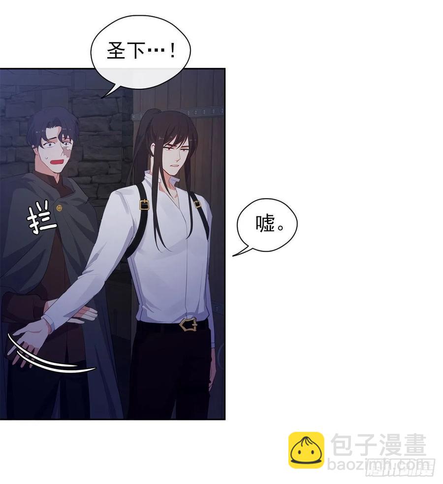 《皇帝的伴侣》44.教皇的承诺 第15页