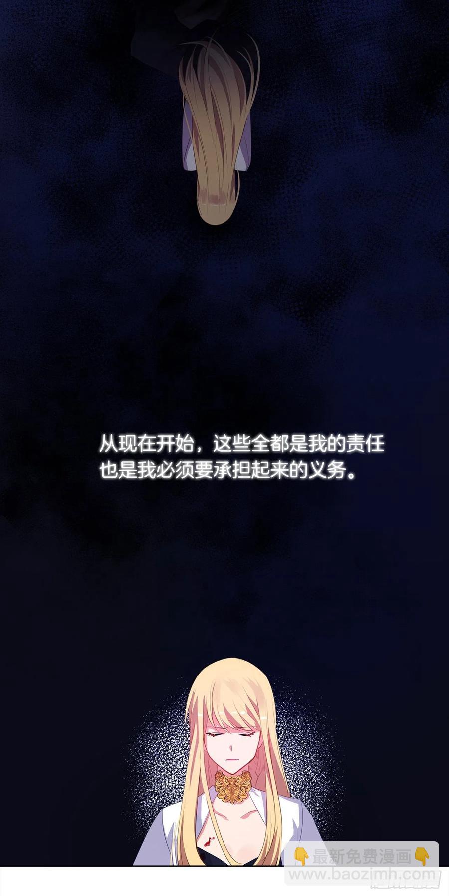 《皇帝的伴侣》44.教皇的承诺 第27页