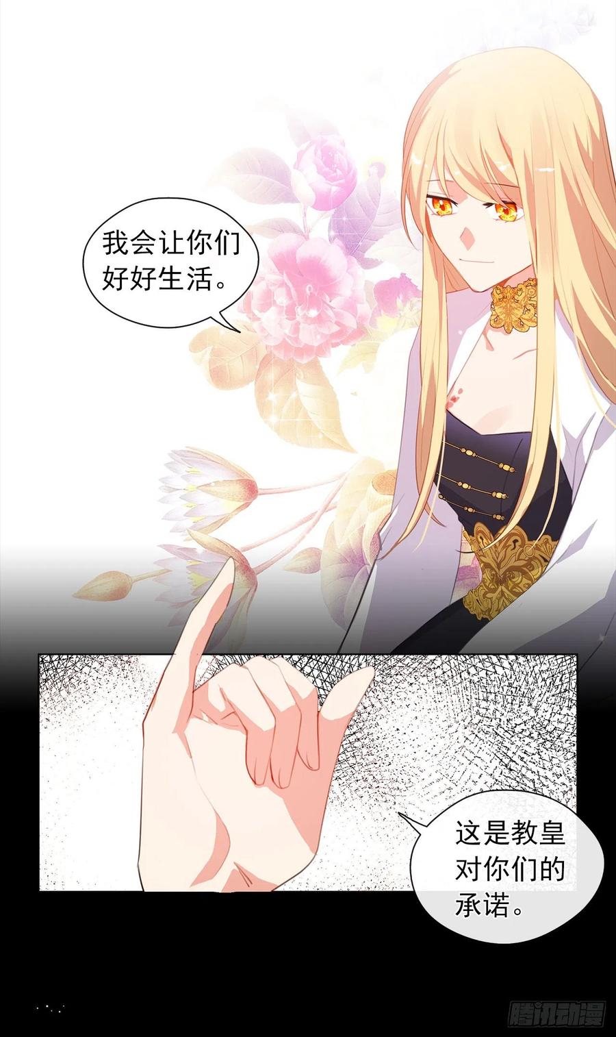 《皇帝的伴侣》44.教皇的承诺 第30页