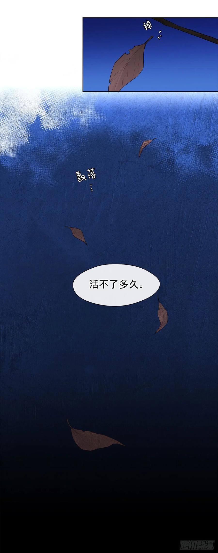 《皇帝的伴侣》49.我活不了多久 第36页