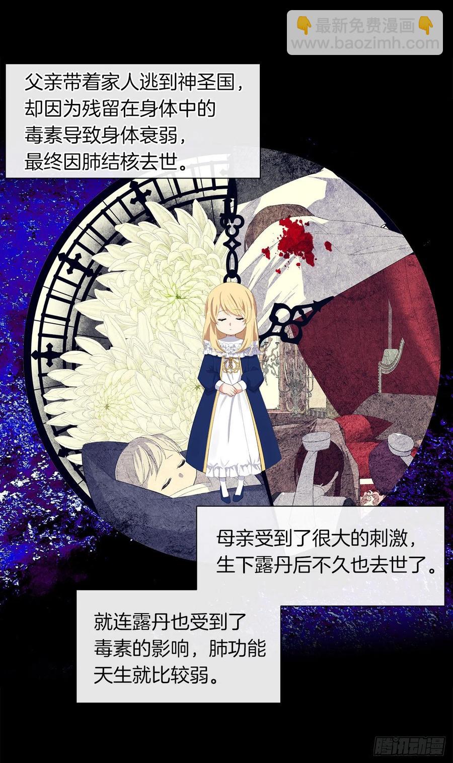 《皇帝的伴侣》50.血雨腥风的身世 第14页