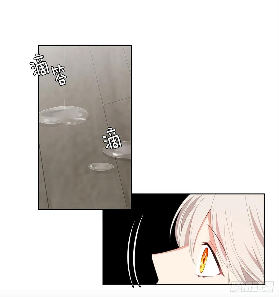 《皇帝的伴侣》50.血雨腥风的身世 第26页