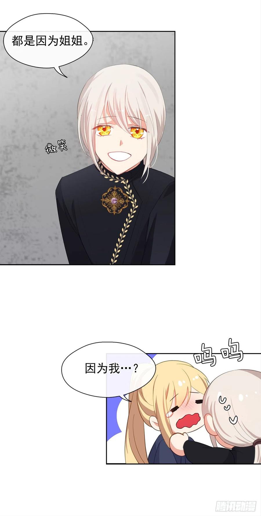 《皇帝的伴侣》50.血雨腥风的身世 第29页