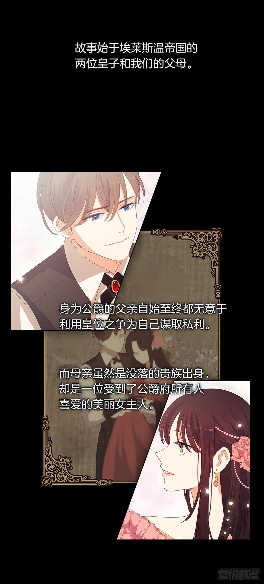 《皇帝的伴侣》50.血雨腥风的身世 第3页