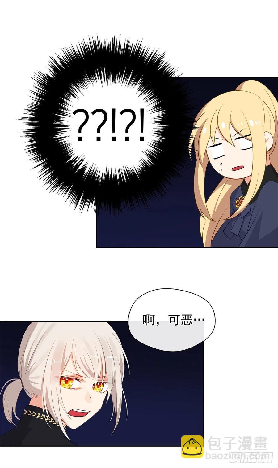 《皇帝的伴侣》48.踹门而入的公主 第20页
