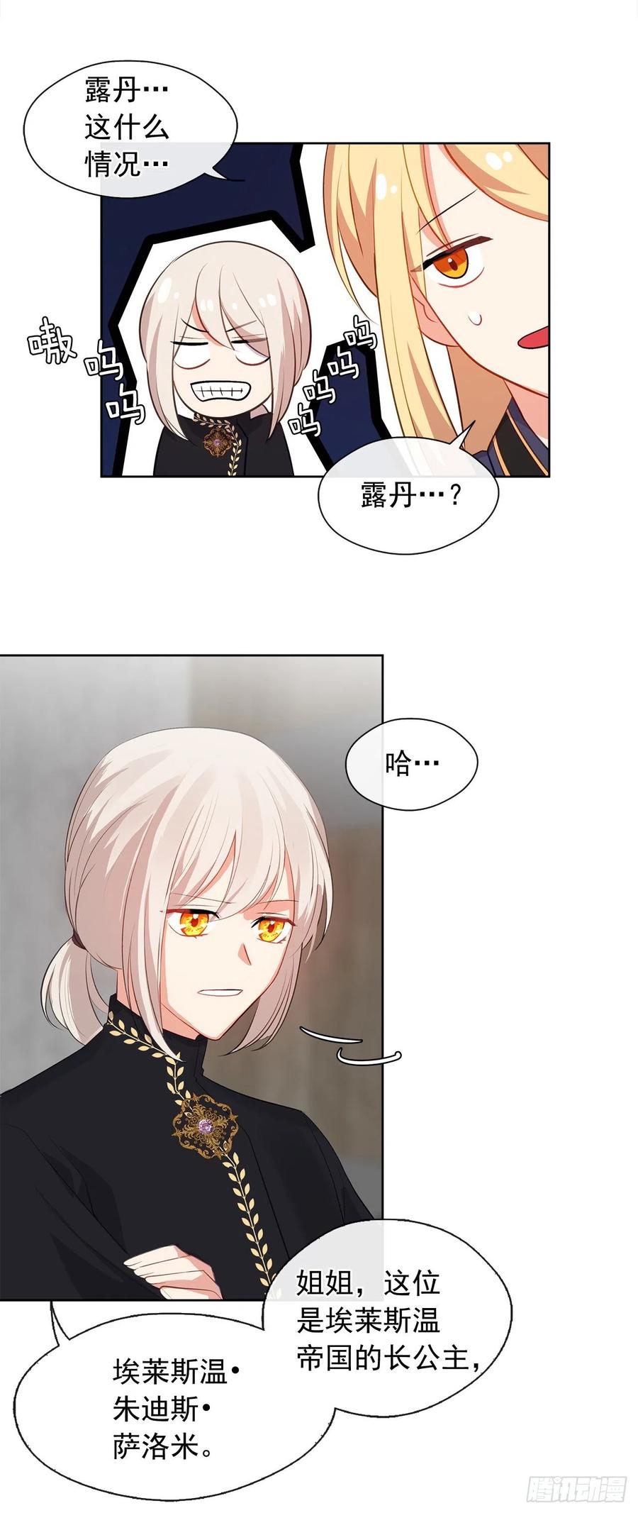 《皇帝的伴侣》48.踹门而入的公主 第29页