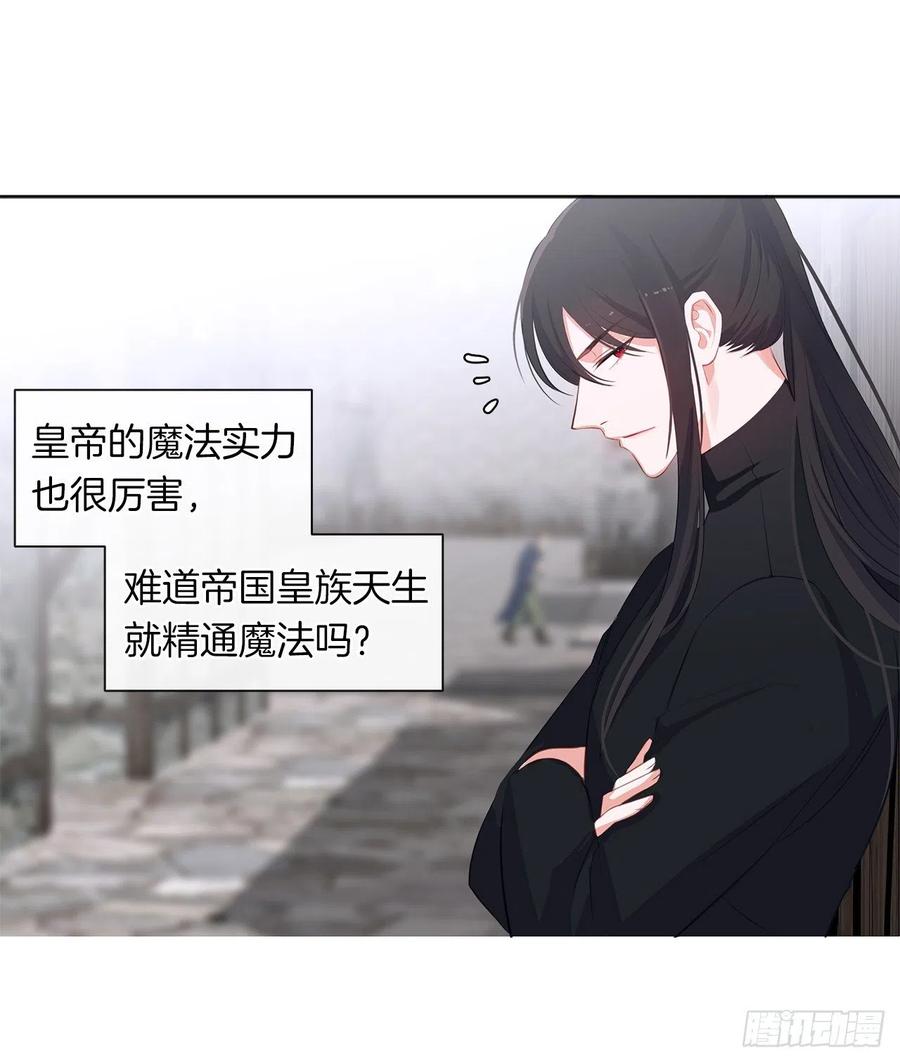 《皇帝的伴侣》53.神秘失踪的孩子 第34页