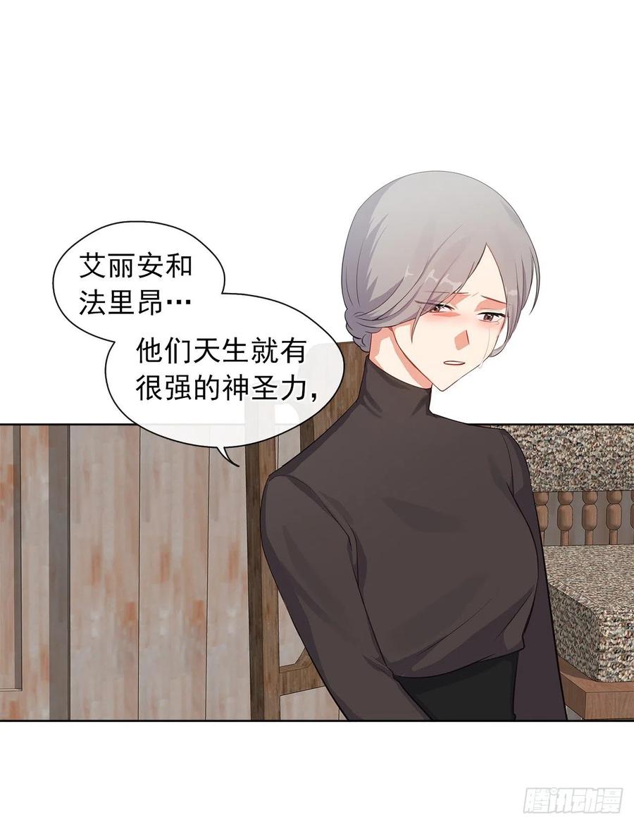 《皇帝的伴侣》55.双胞胎的真实身份 第11页