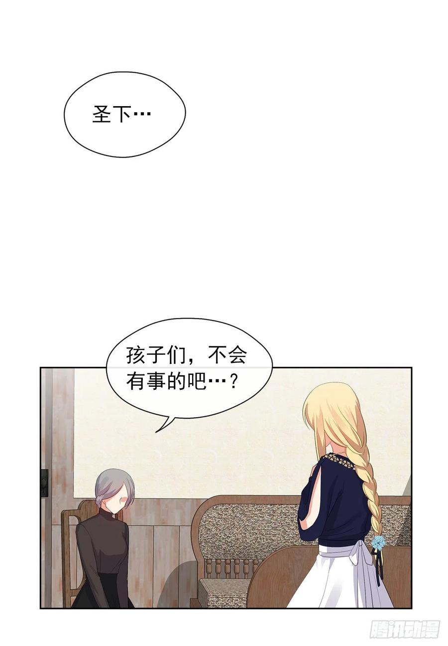 《皇帝的伴侣》55.双胞胎的真实身份 第14页