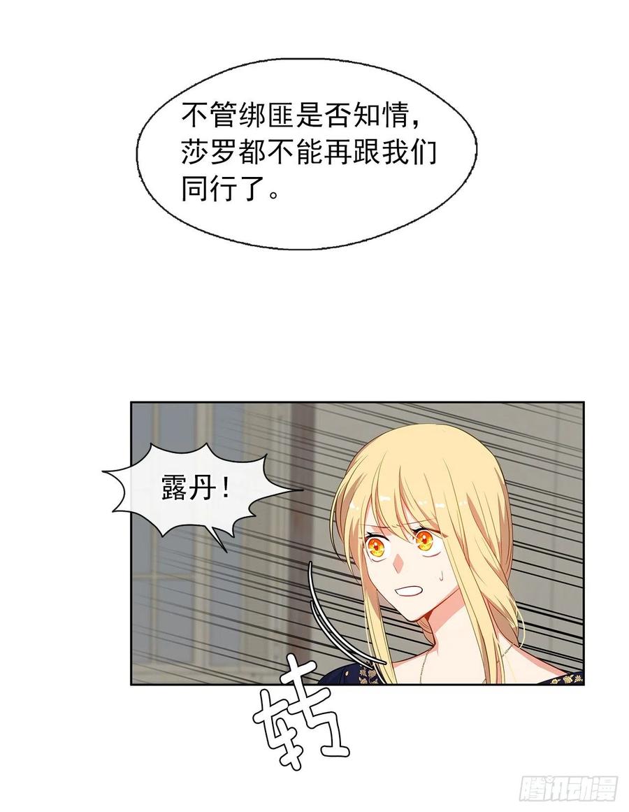 《皇帝的伴侣》55.双胞胎的真实身份 第28页