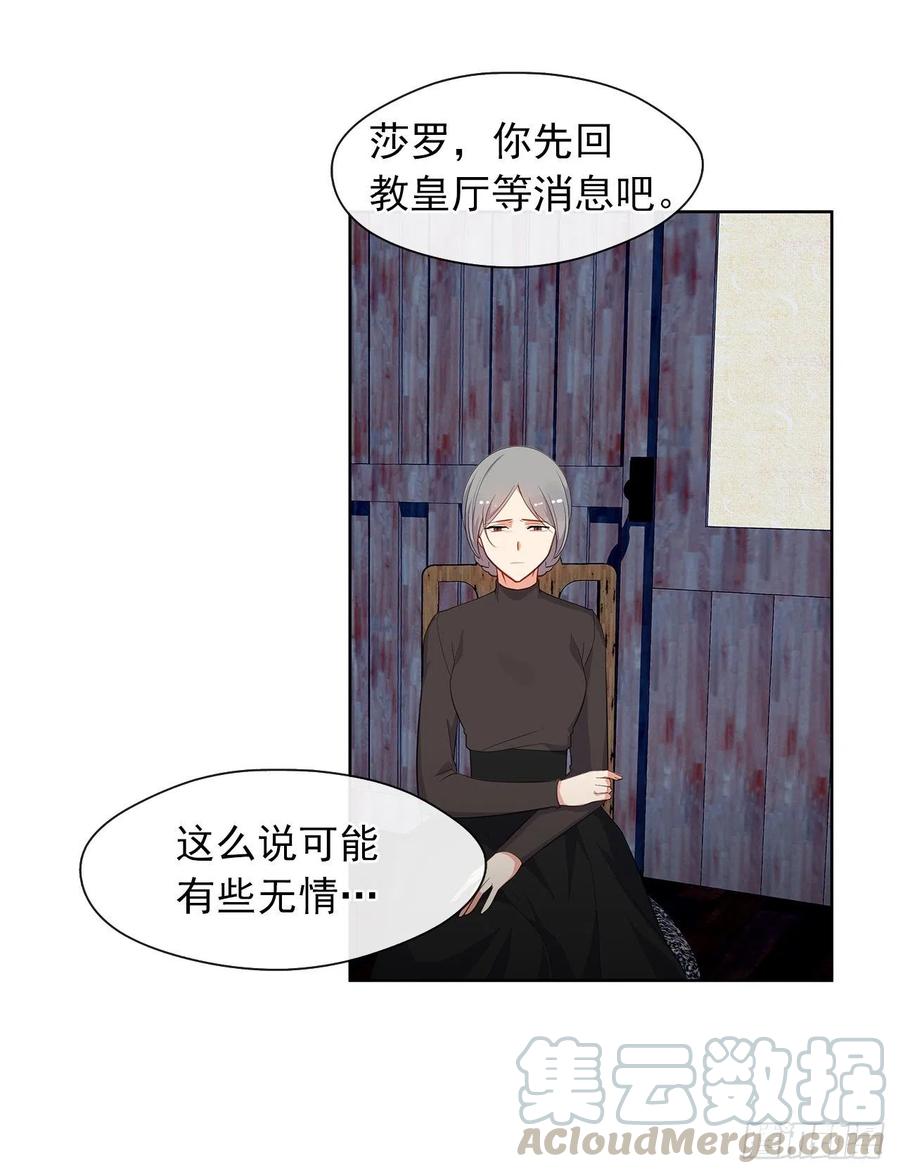 《皇帝的伴侣》55.双胞胎的真实身份 第29页