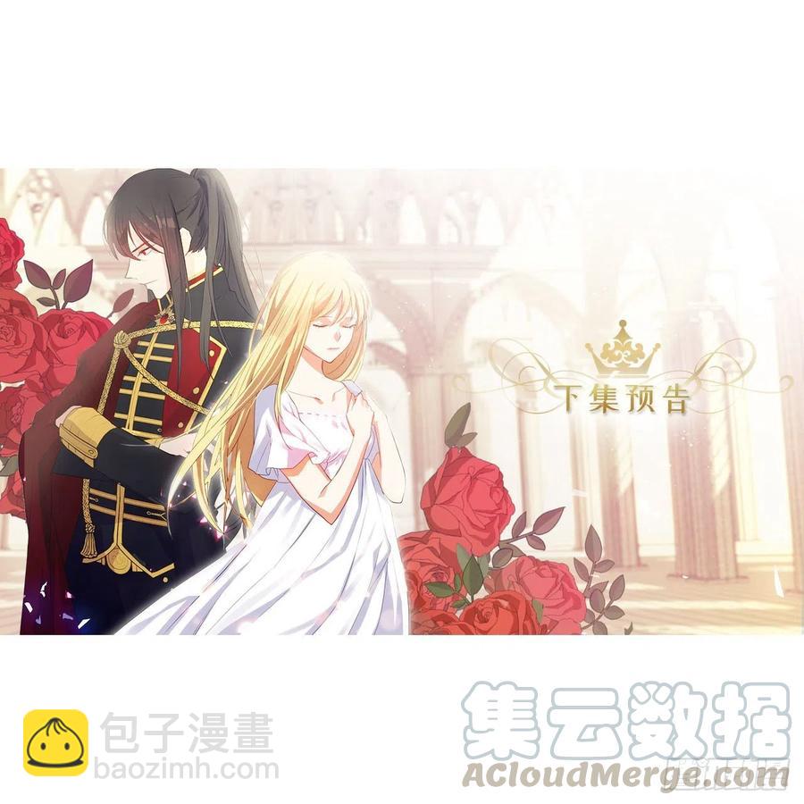 《皇帝的伴侣》55.双胞胎的真实身份 第49页