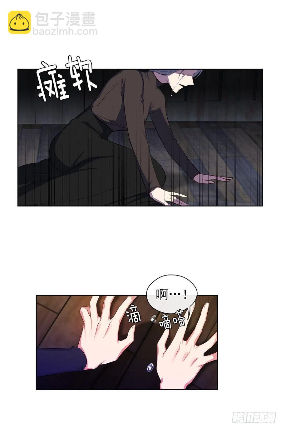 《皇帝的伴侣》55.双胞胎的真实身份 第4页