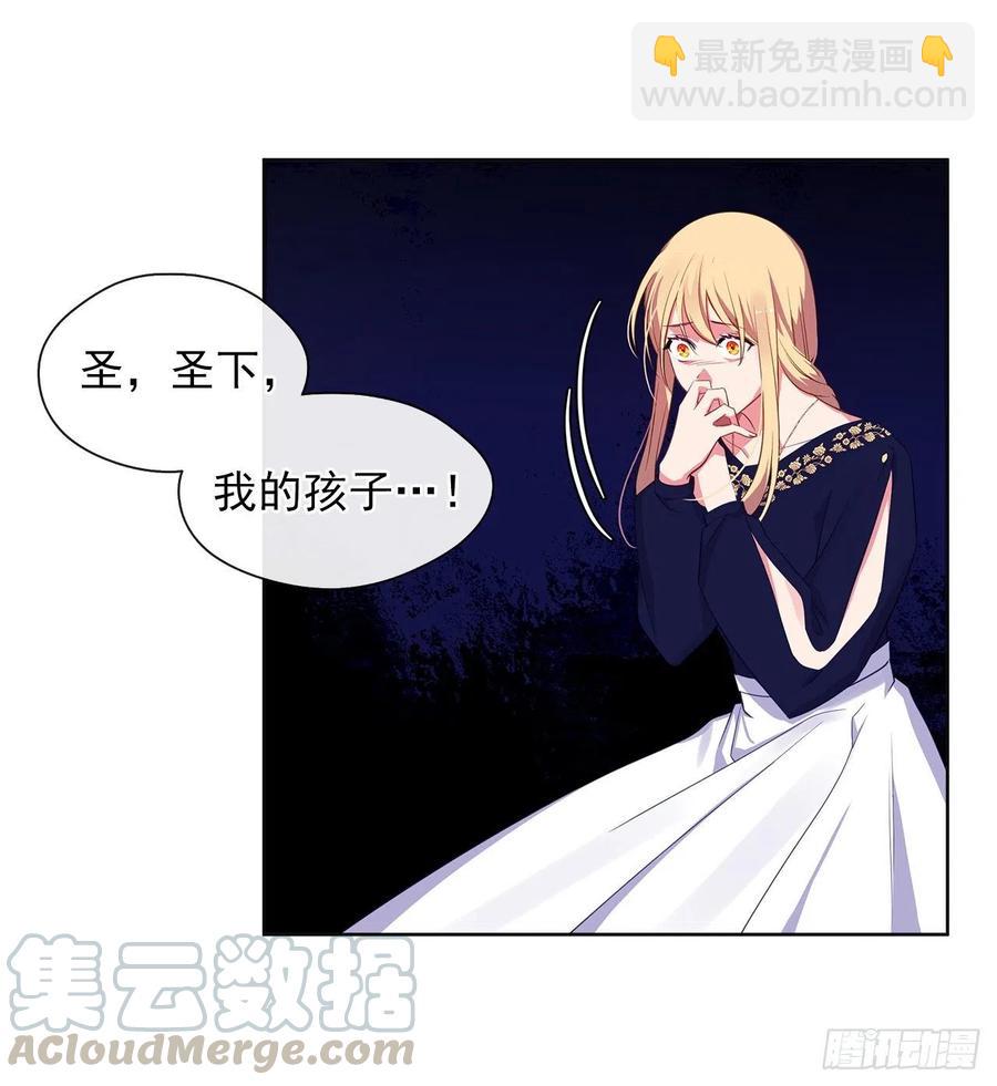 《皇帝的伴侣》55.双胞胎的真实身份 第5页