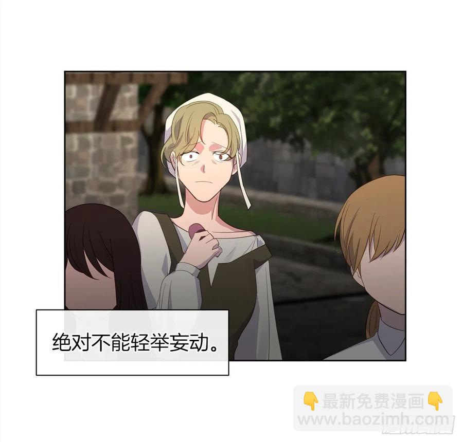 《皇帝的伴侣》54.踪案的共同点 第39页