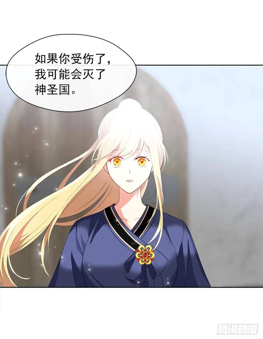 《皇帝的伴侣》52.如果你受伤我会灭了神圣国 第20页