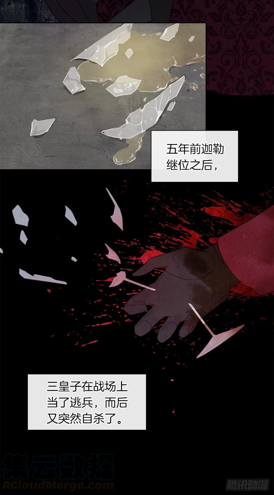《皇帝的伴侣》59.恶魔并未消失 第17页