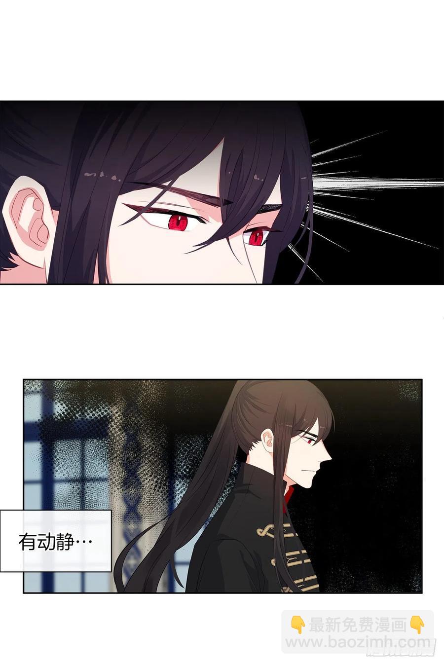 《皇帝的伴侣》61.尾随而来的杀手 第26页