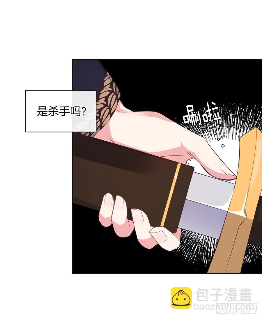 《皇帝的伴侣》61.尾随而来的杀手 第27页