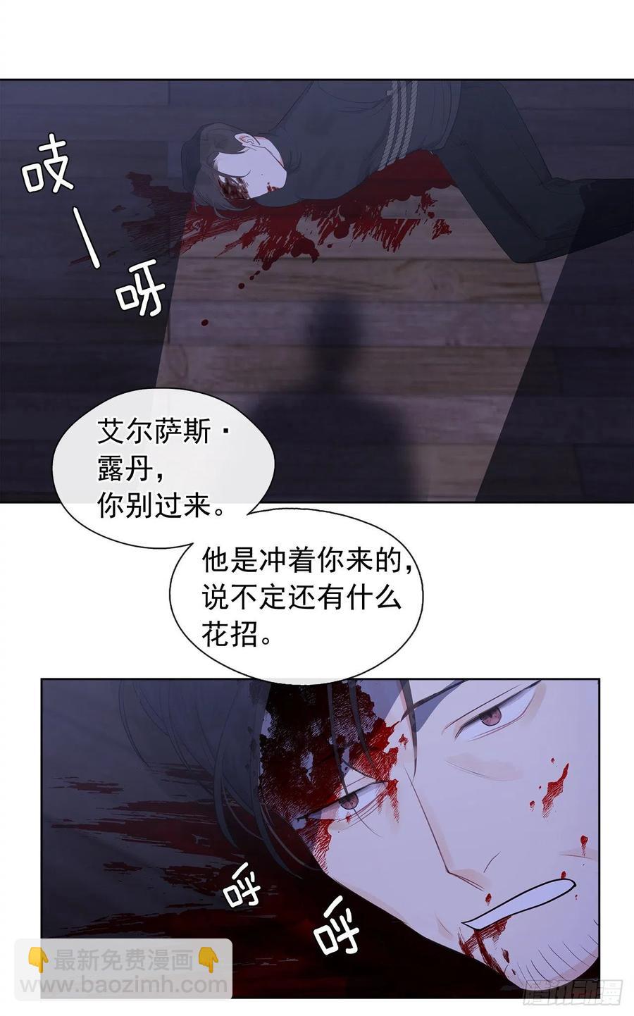 《皇帝的伴侣》61.尾随而来的杀手 第48页