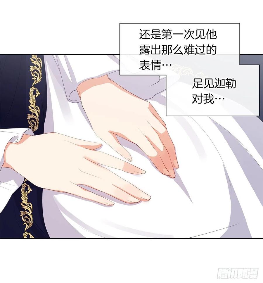 《皇帝的伴侣》64.灾难并未结束 第29页