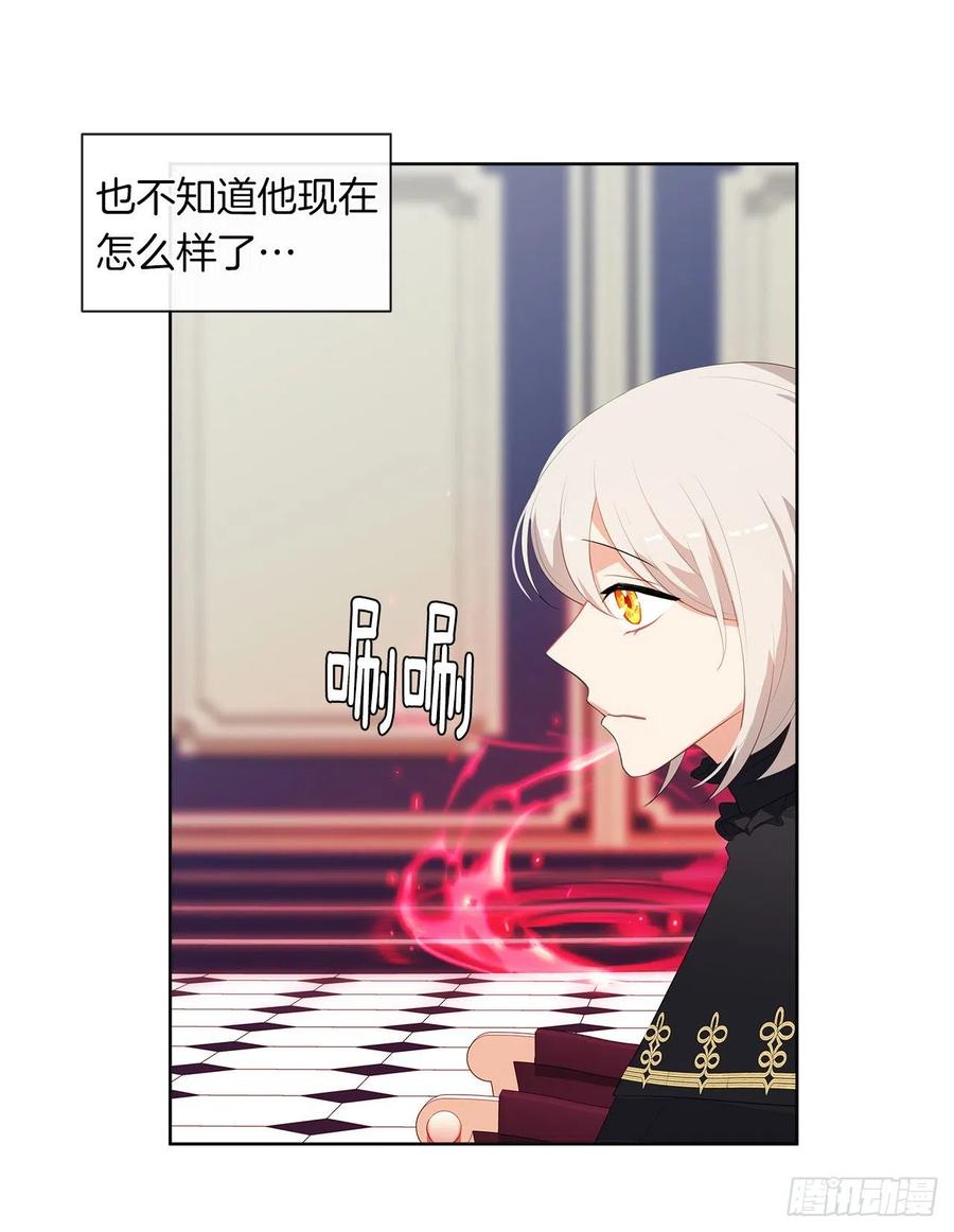 《皇帝的伴侣》64.灾难并未结束 第30页