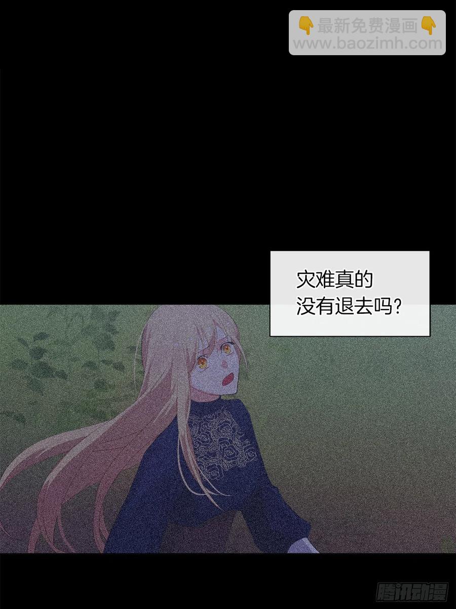 《皇帝的伴侣》64.灾难并未结束 第45页