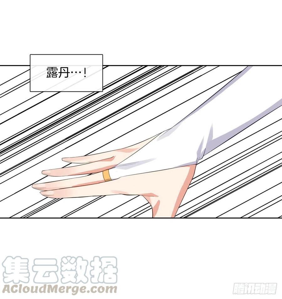 《皇帝的伴侣》70.露丹忽然发病 第25页
