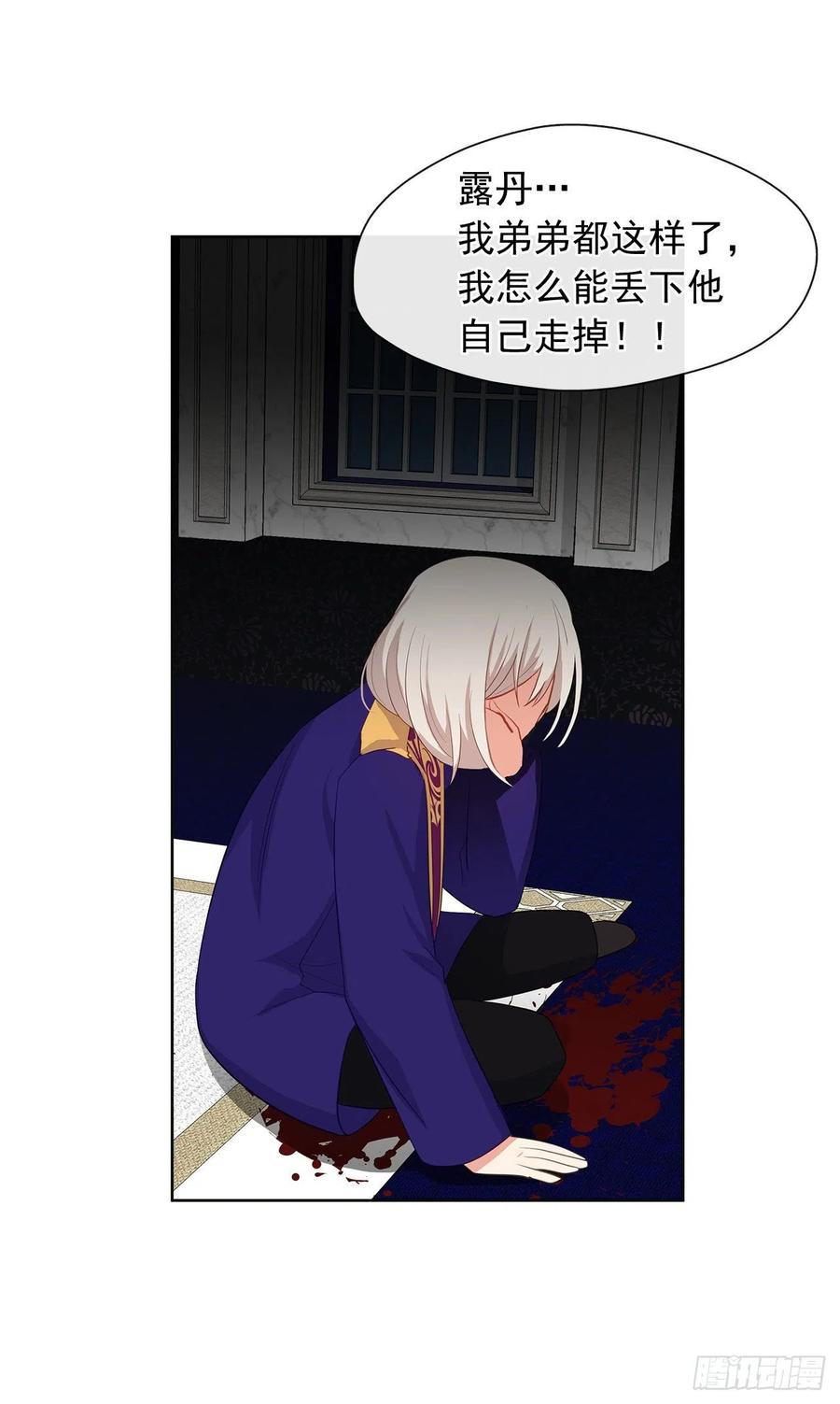 《皇帝的伴侣》70.露丹忽然发病 第38页