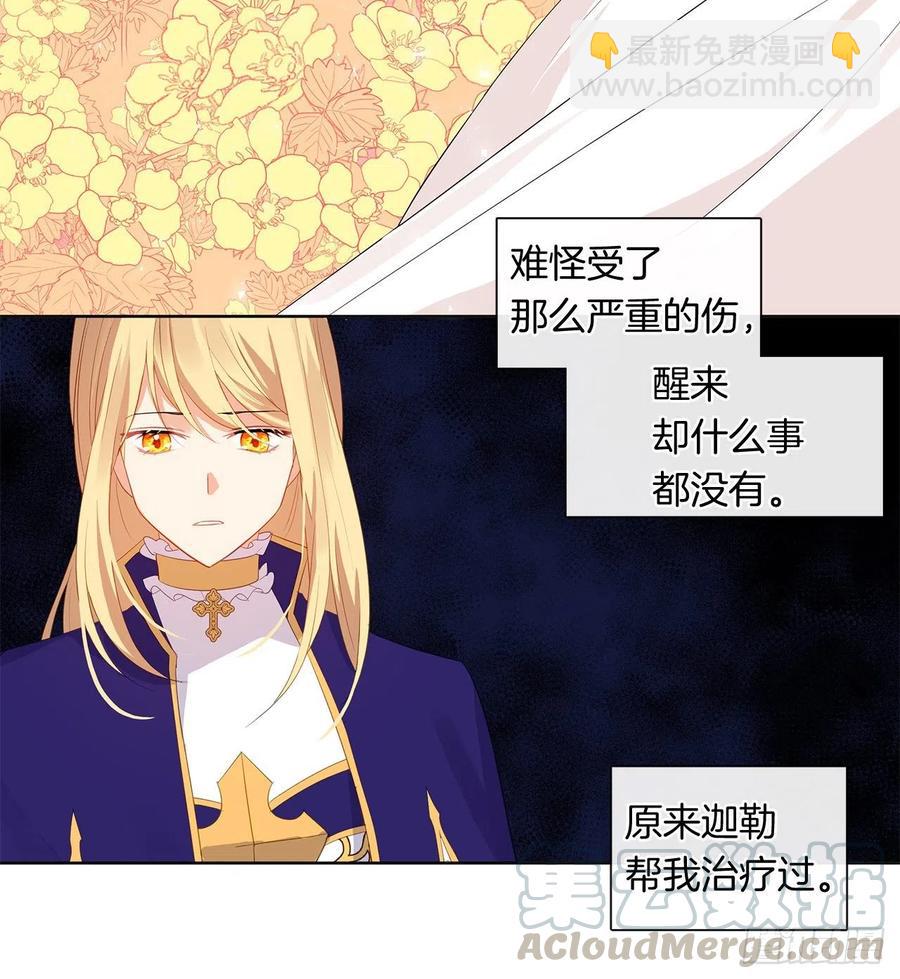 《皇帝的伴侣》73.朕能救你的弟弟 第49页