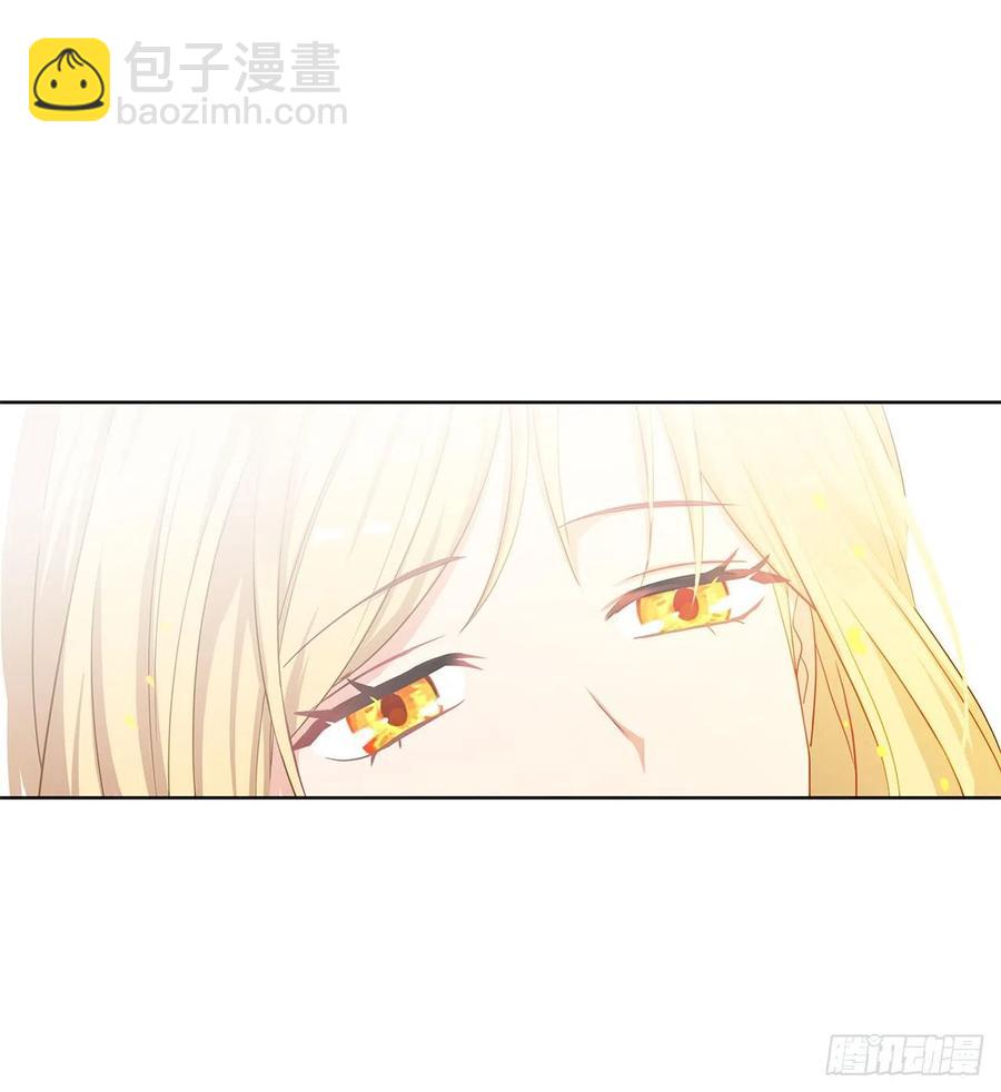 《皇帝的伴侣》78.你是我灵魂的宿命 第11页