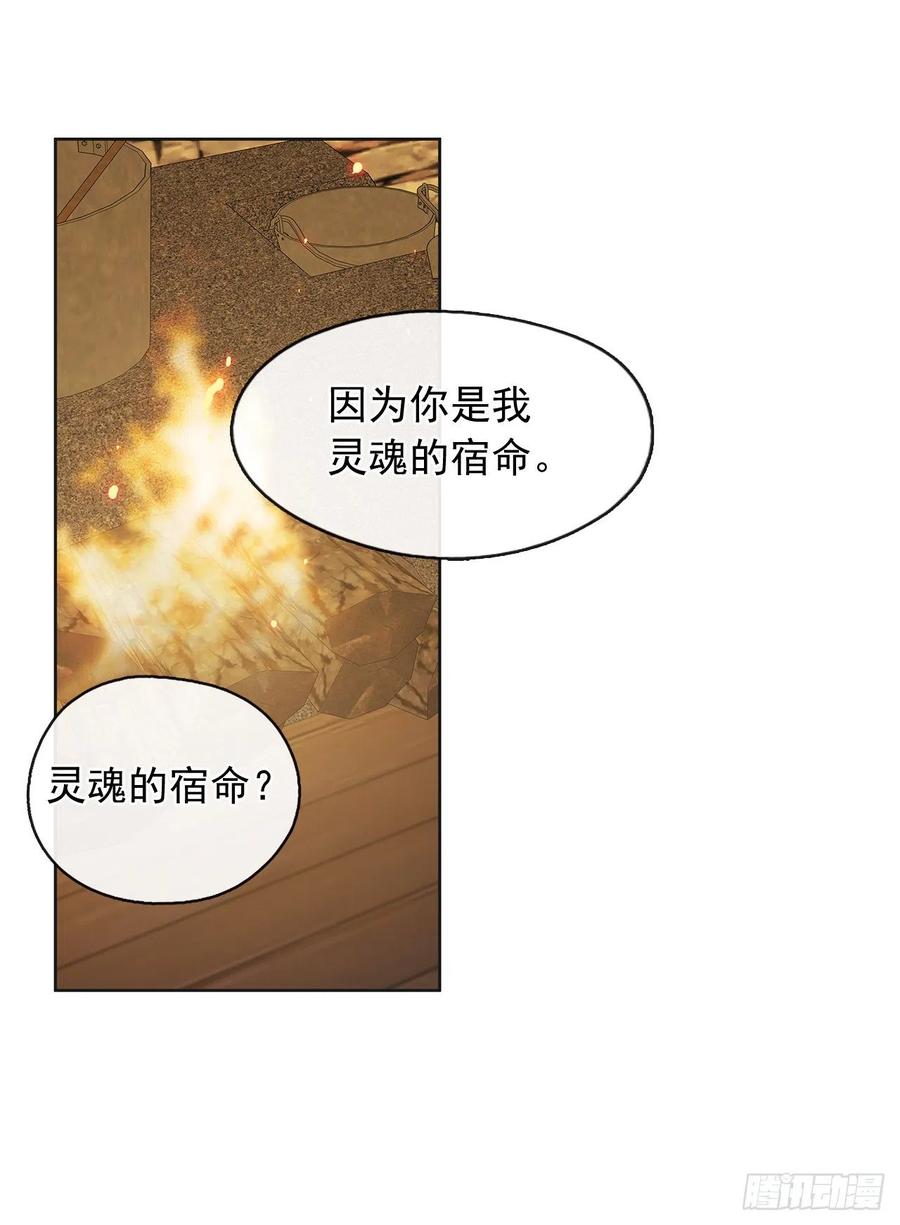 《皇帝的伴侣》78.你是我灵魂的宿命 第41页