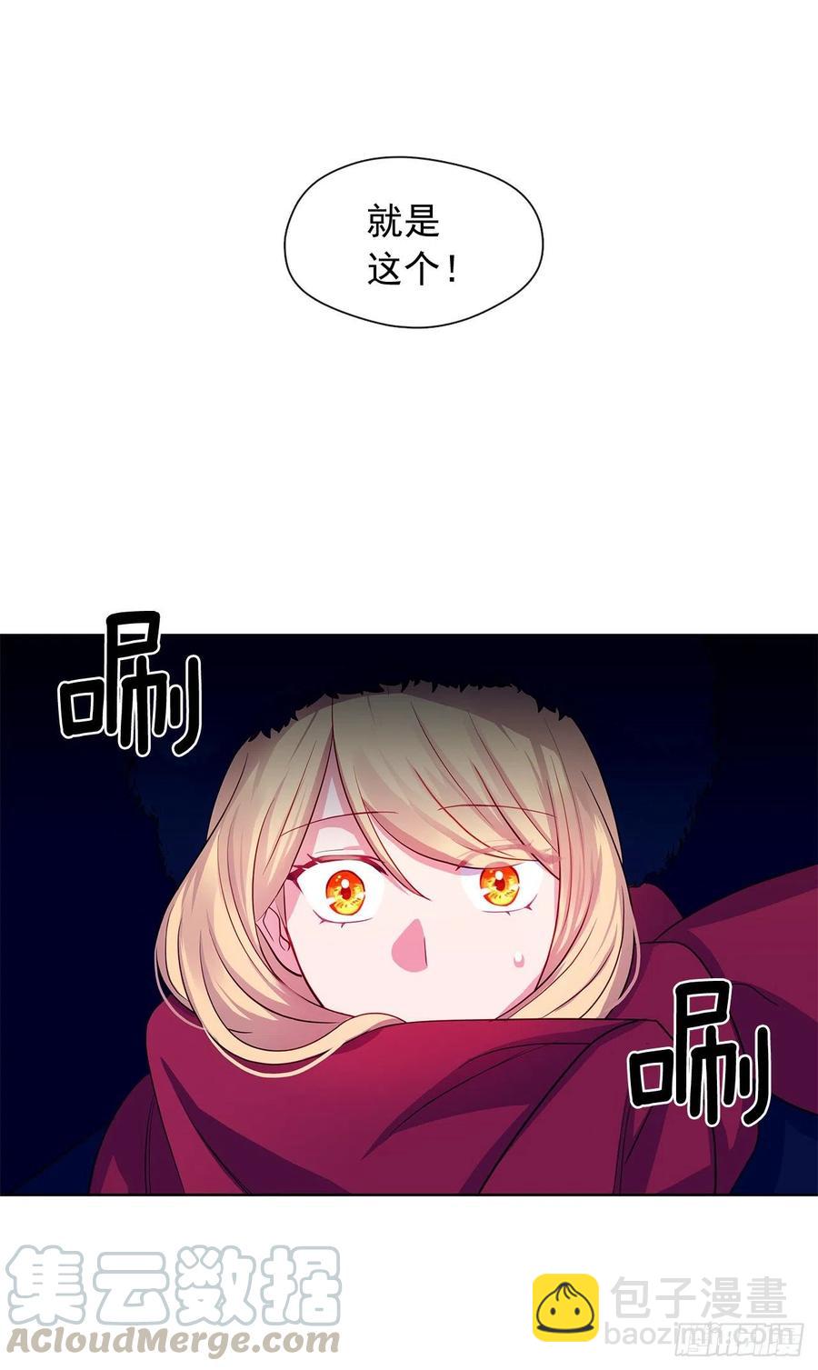 《皇帝的伴侣》82.背后黑手的帮凶？ 第10页