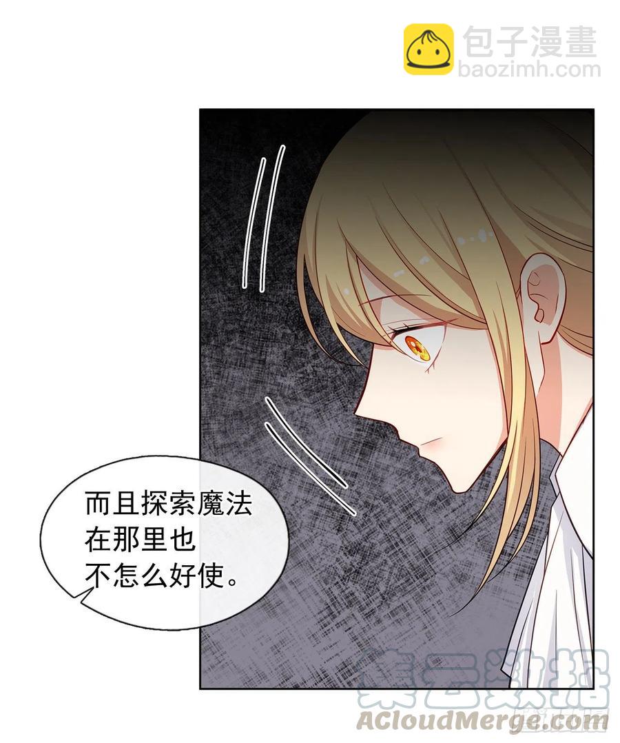 《皇帝的伴侣》82.背后黑手的帮凶？ 第19页