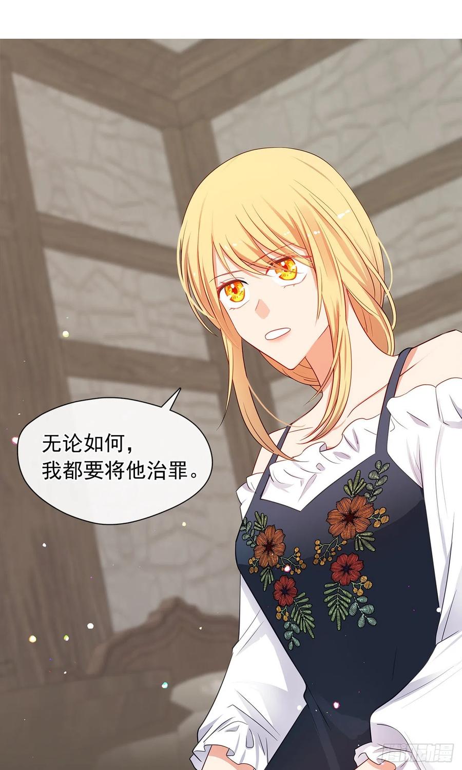 《皇帝的伴侣》83.我们不如将计就计？ 第35页