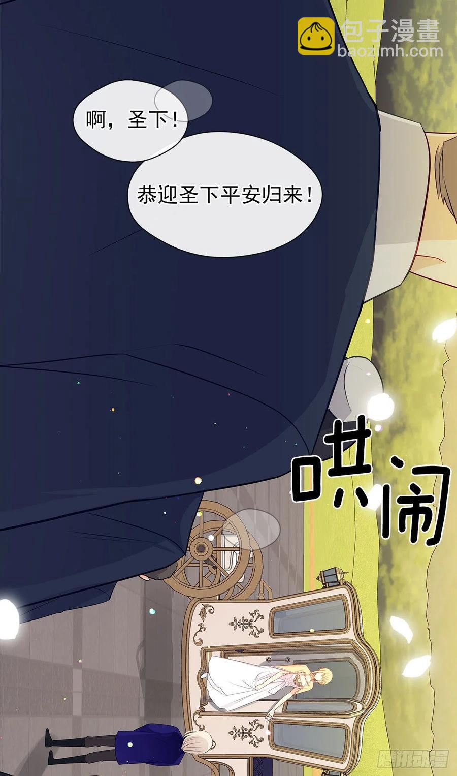 《皇帝的伴侣》83.我们不如将计就计？ 第47页
